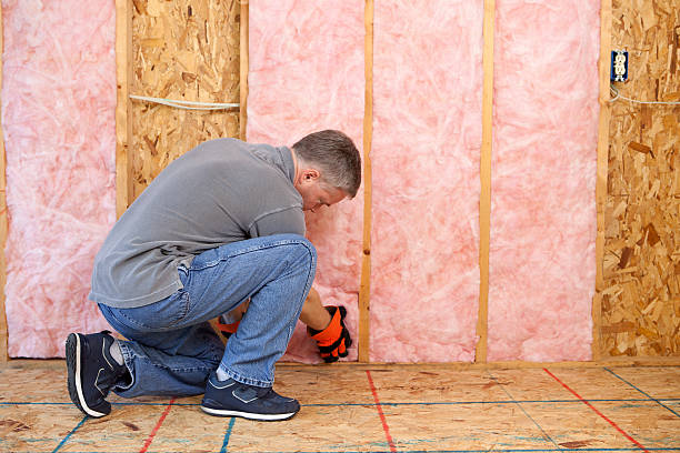 Best Thermal Imaging for Insulation Gaps  in Lantana, FL